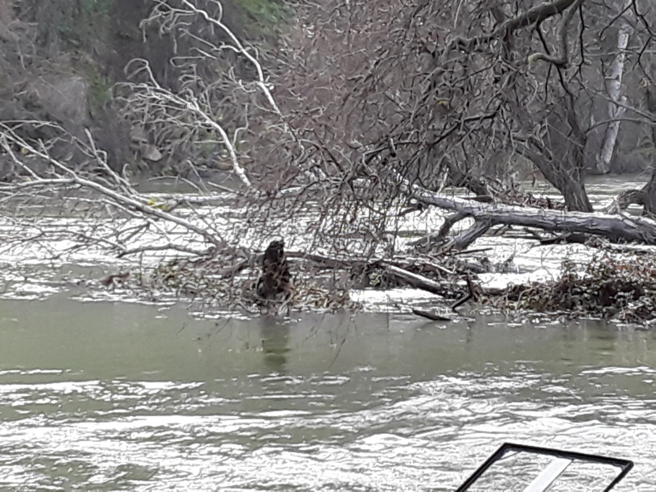20190302_160938.jpg
