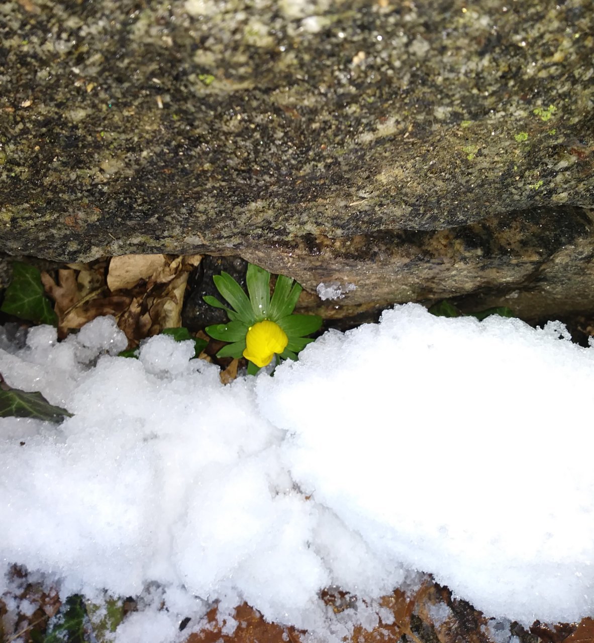 20190302_164800.jpg