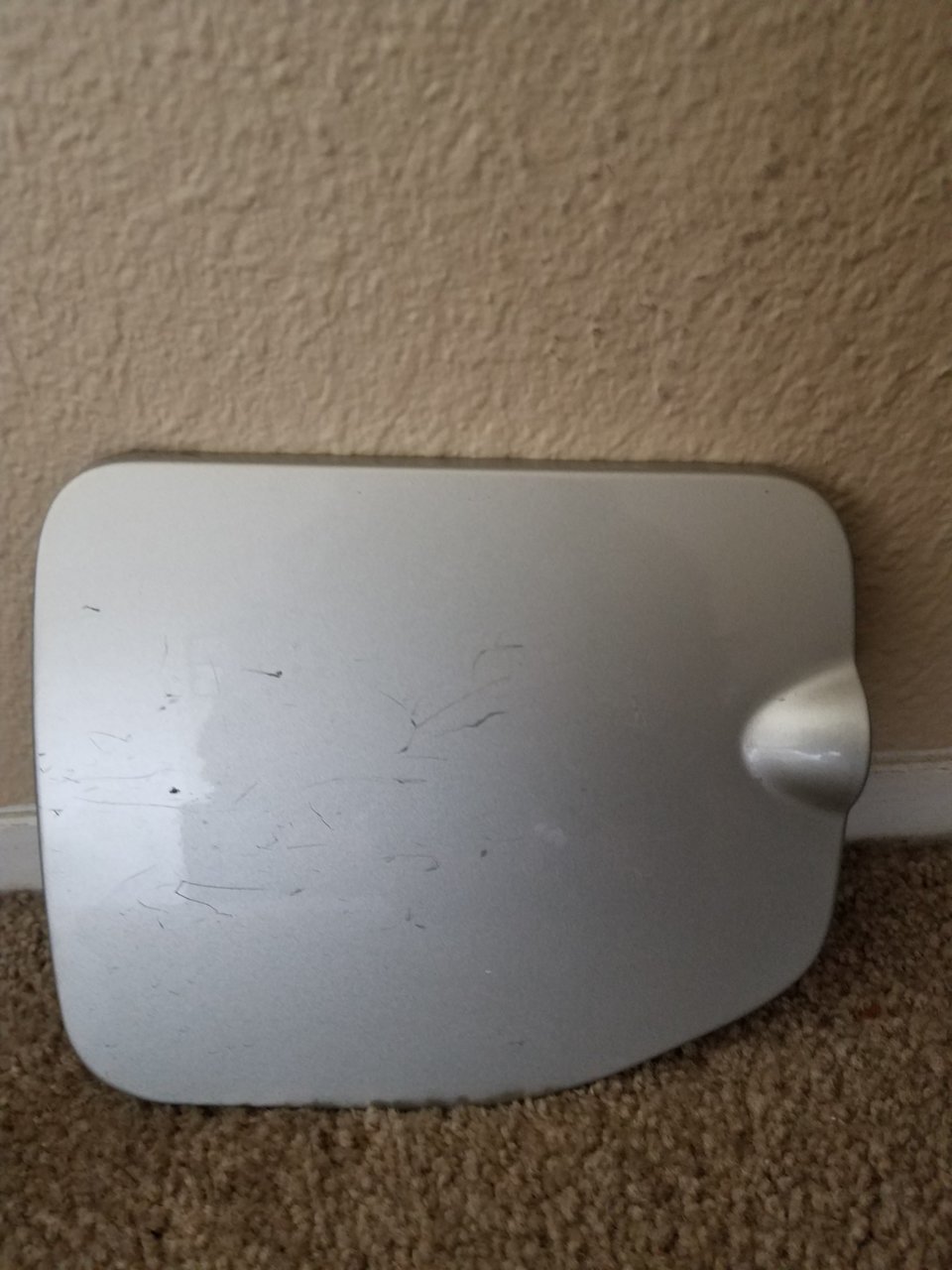 20190303_093656.jpg