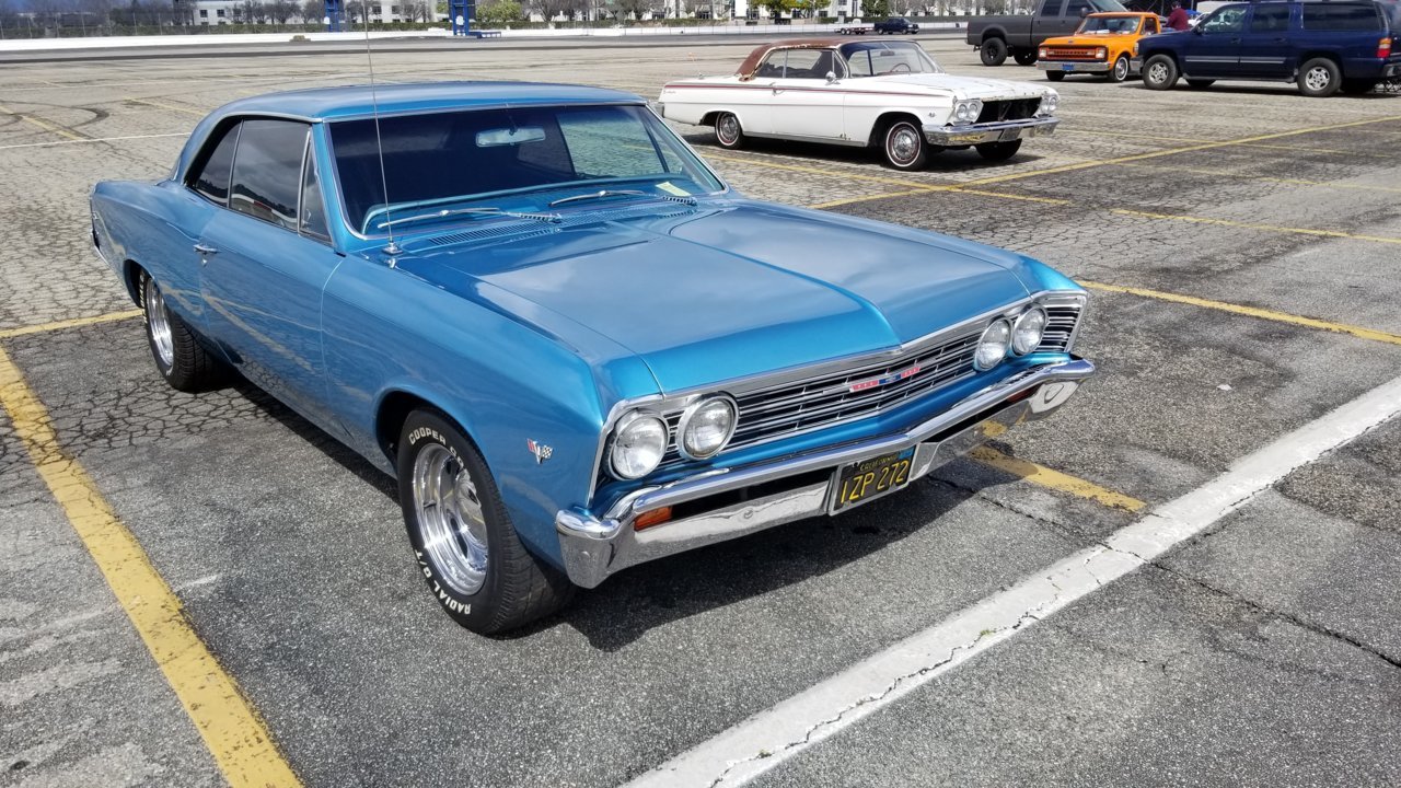 20190303_111259.jpg