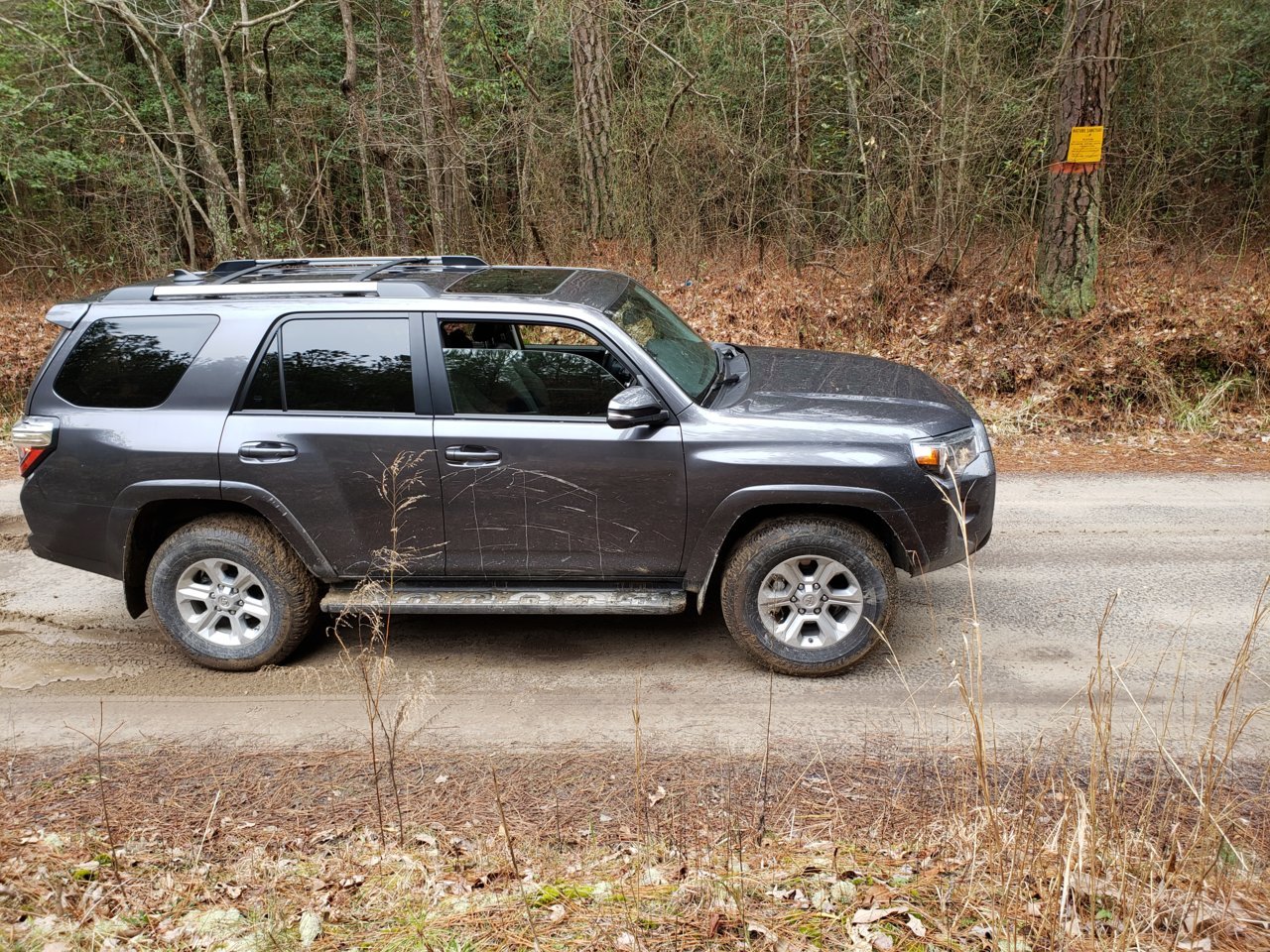 20190303_124142.jpg