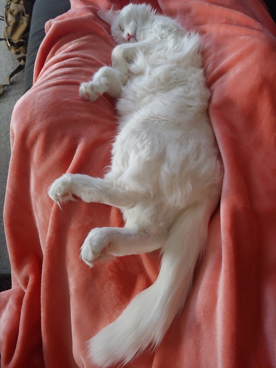 20190303_124237.jpg