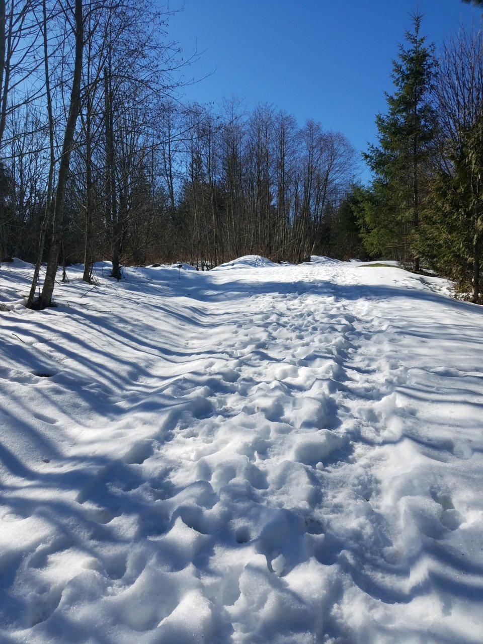 20190303_133731.jpg