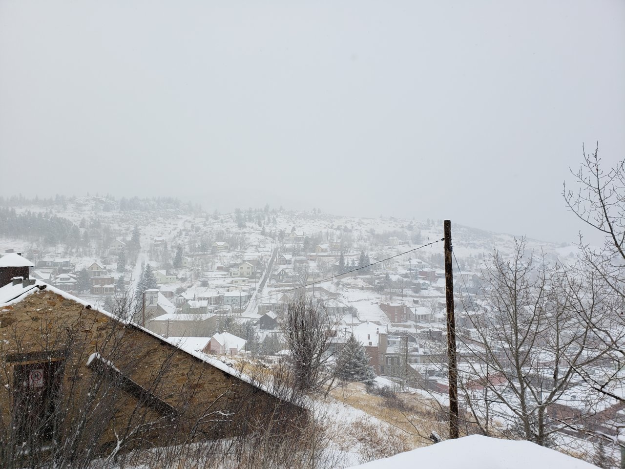 20190303_134015.jpg