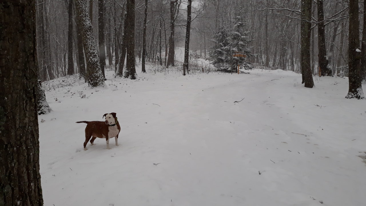 20190303_140058.jpg