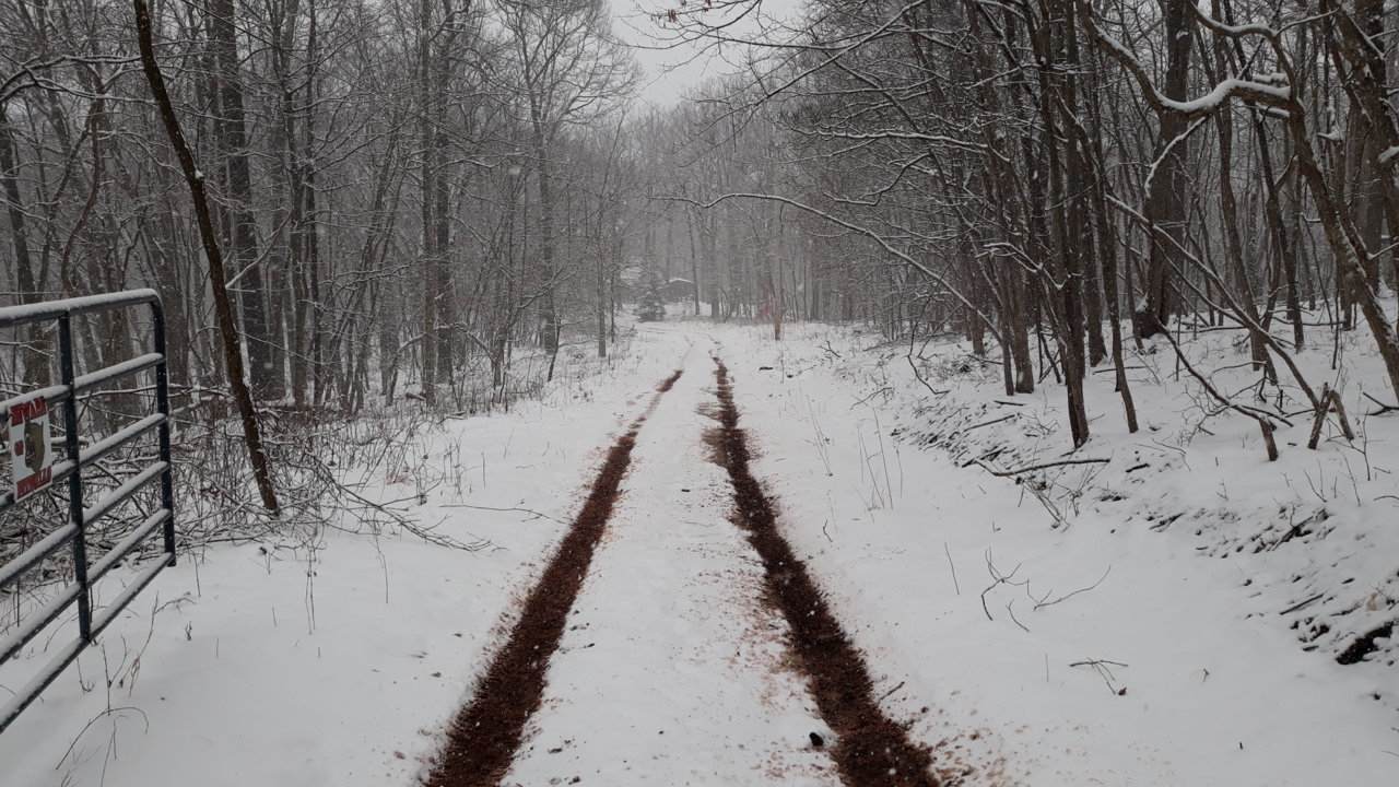 20190303_140441.jpg