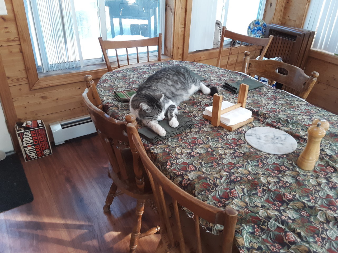 20190303_154645.jpg