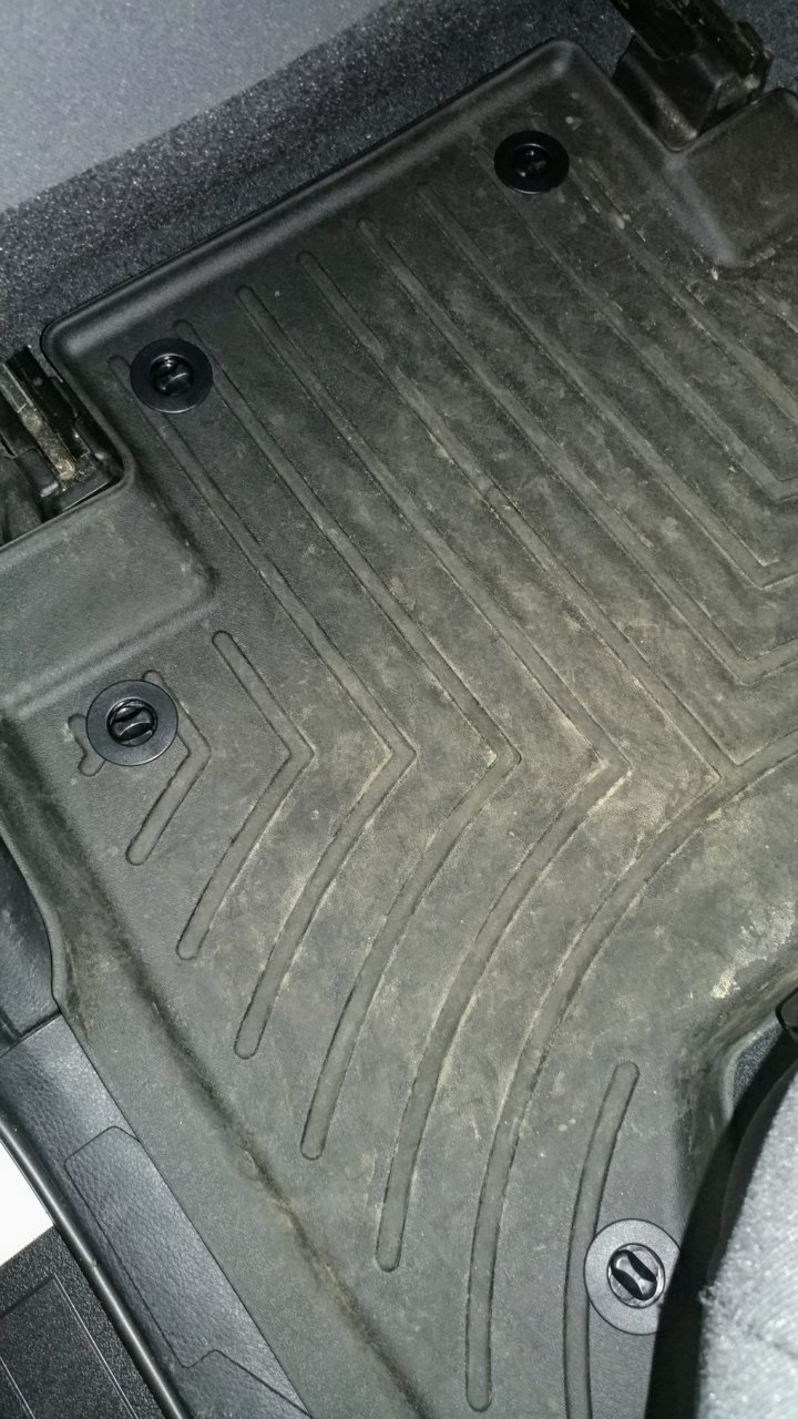 20190303_183139.jpg