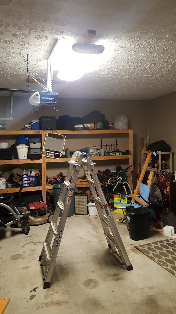 20190303_230100.jpg