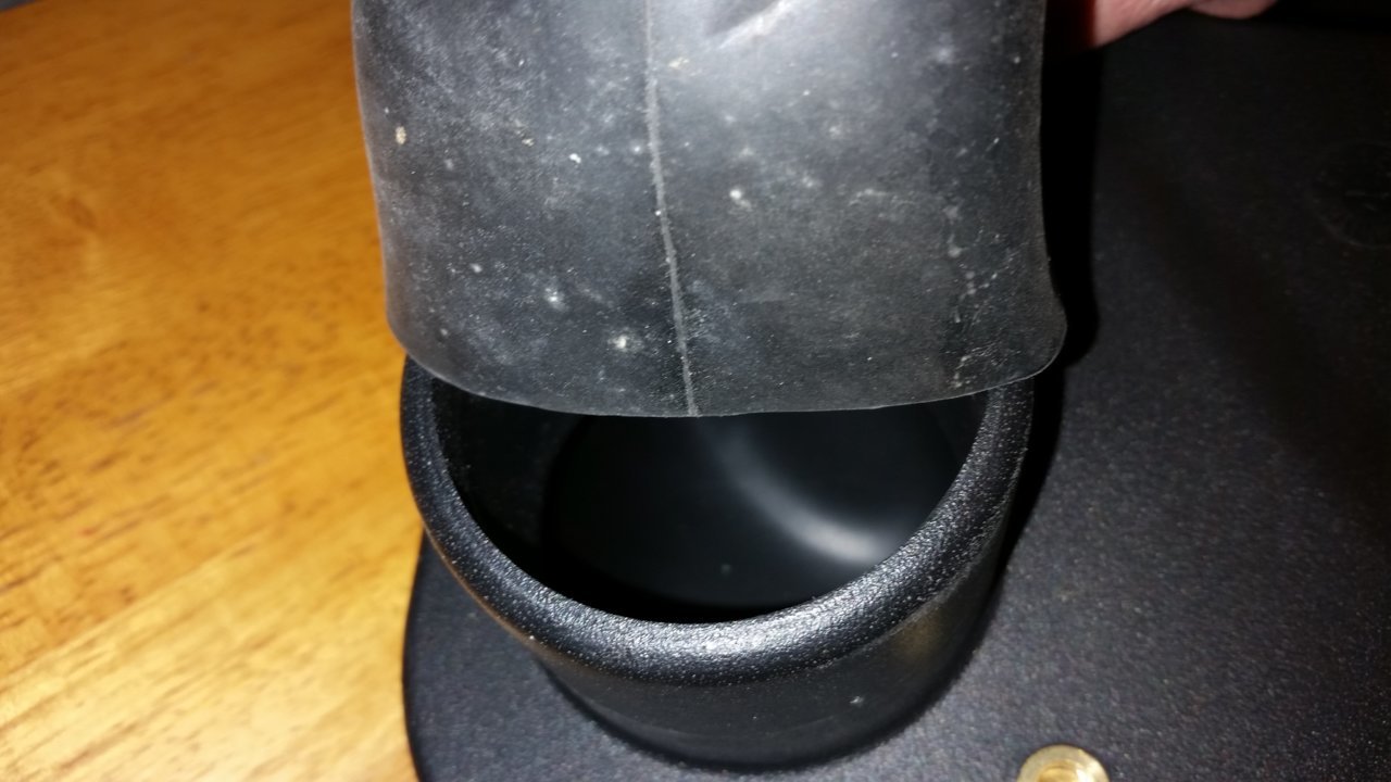 20190304_114602.jpg
