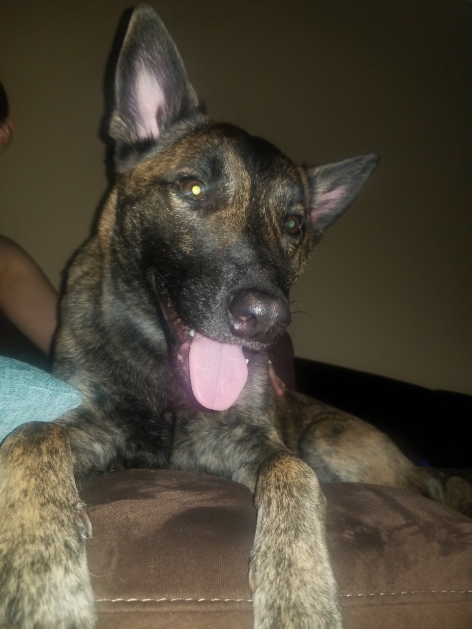 20190304_231655.jpg