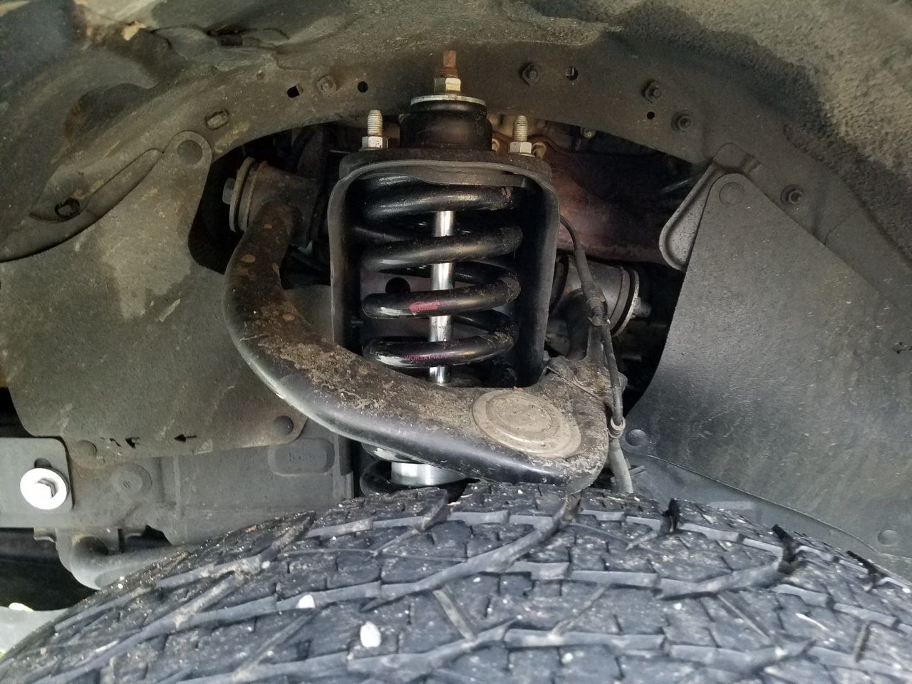 20190305_074105.jpg