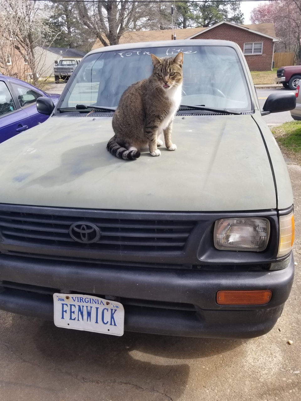 20190305_102534.jpg