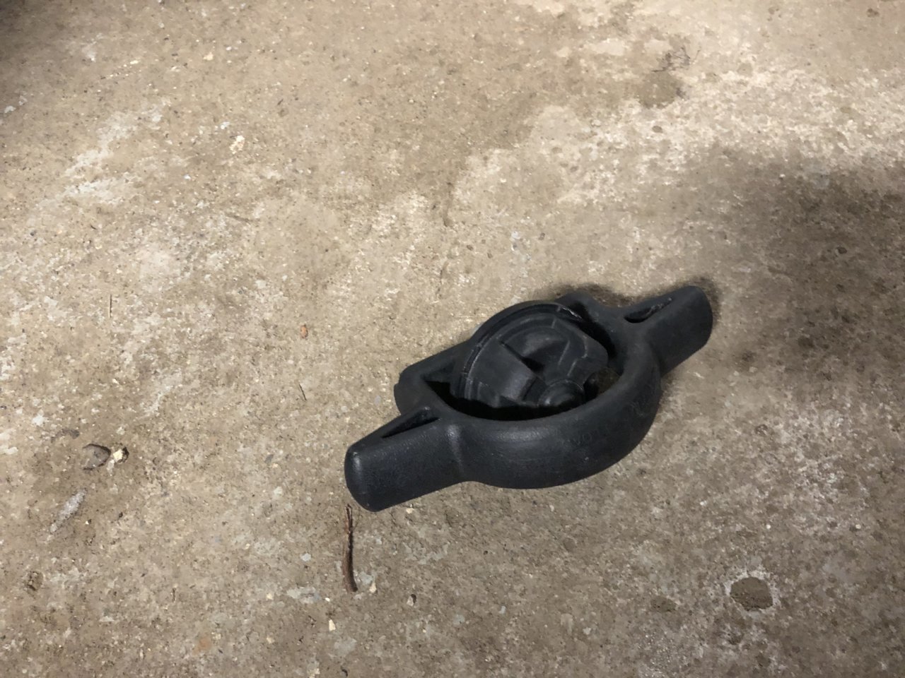 20190306_160835934_iOS.jpg
