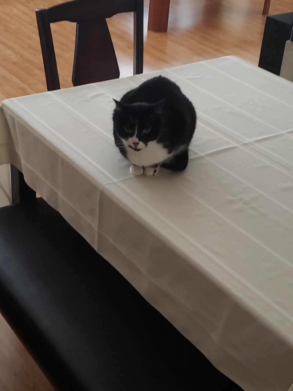 20190306_161607.jpg