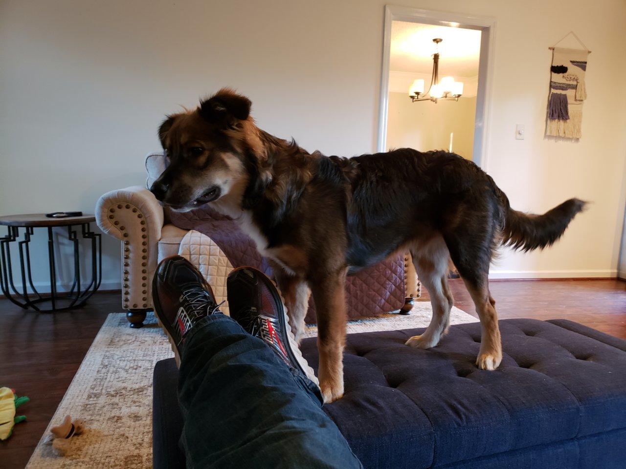 20190306_165506.jpg