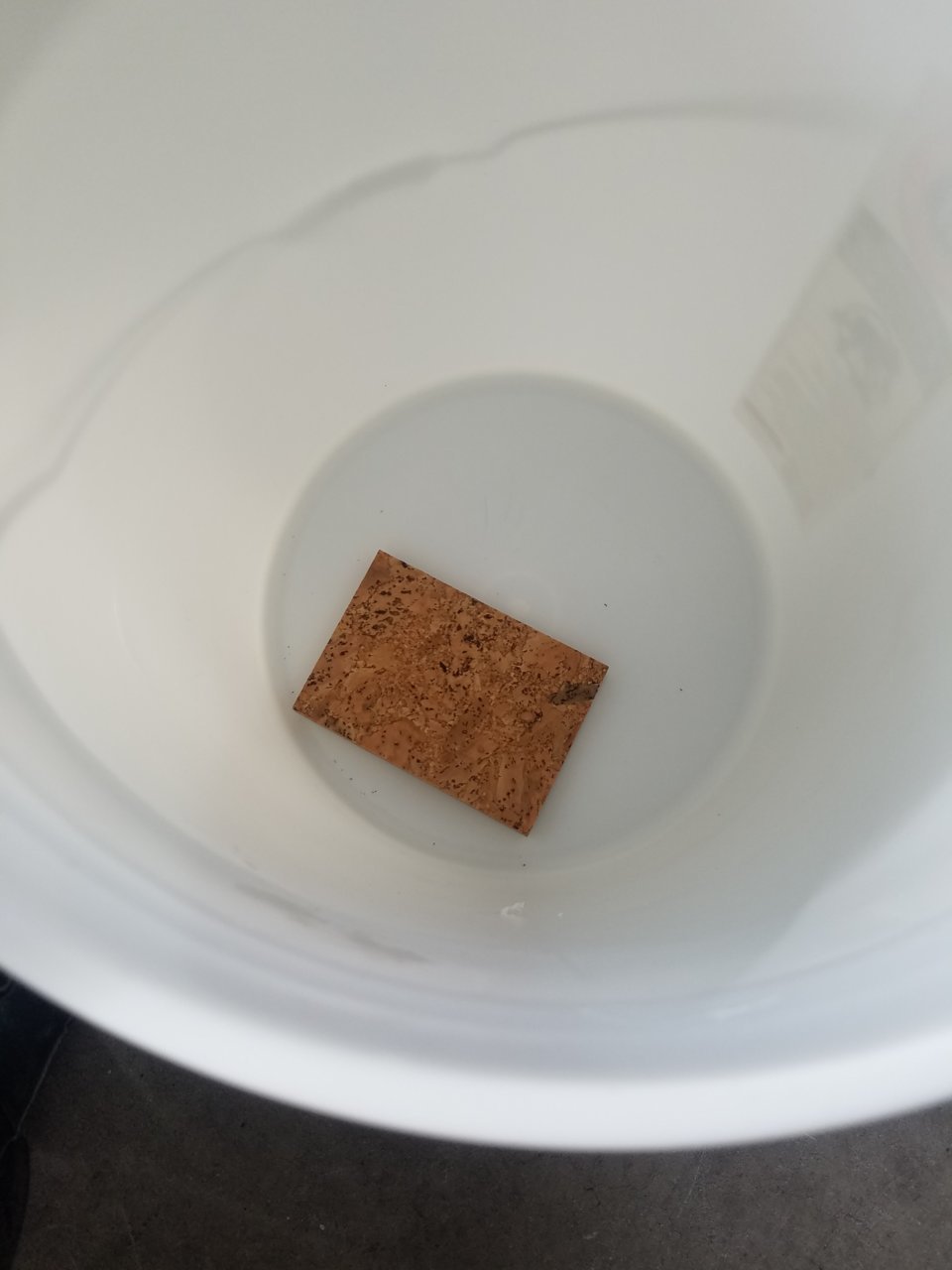 20190307_104502.jpg