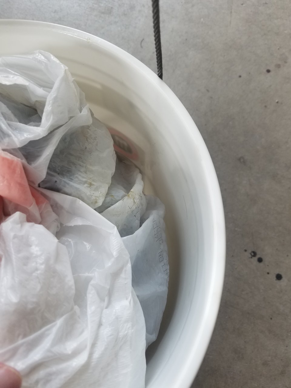 20190307_104645.jpg
