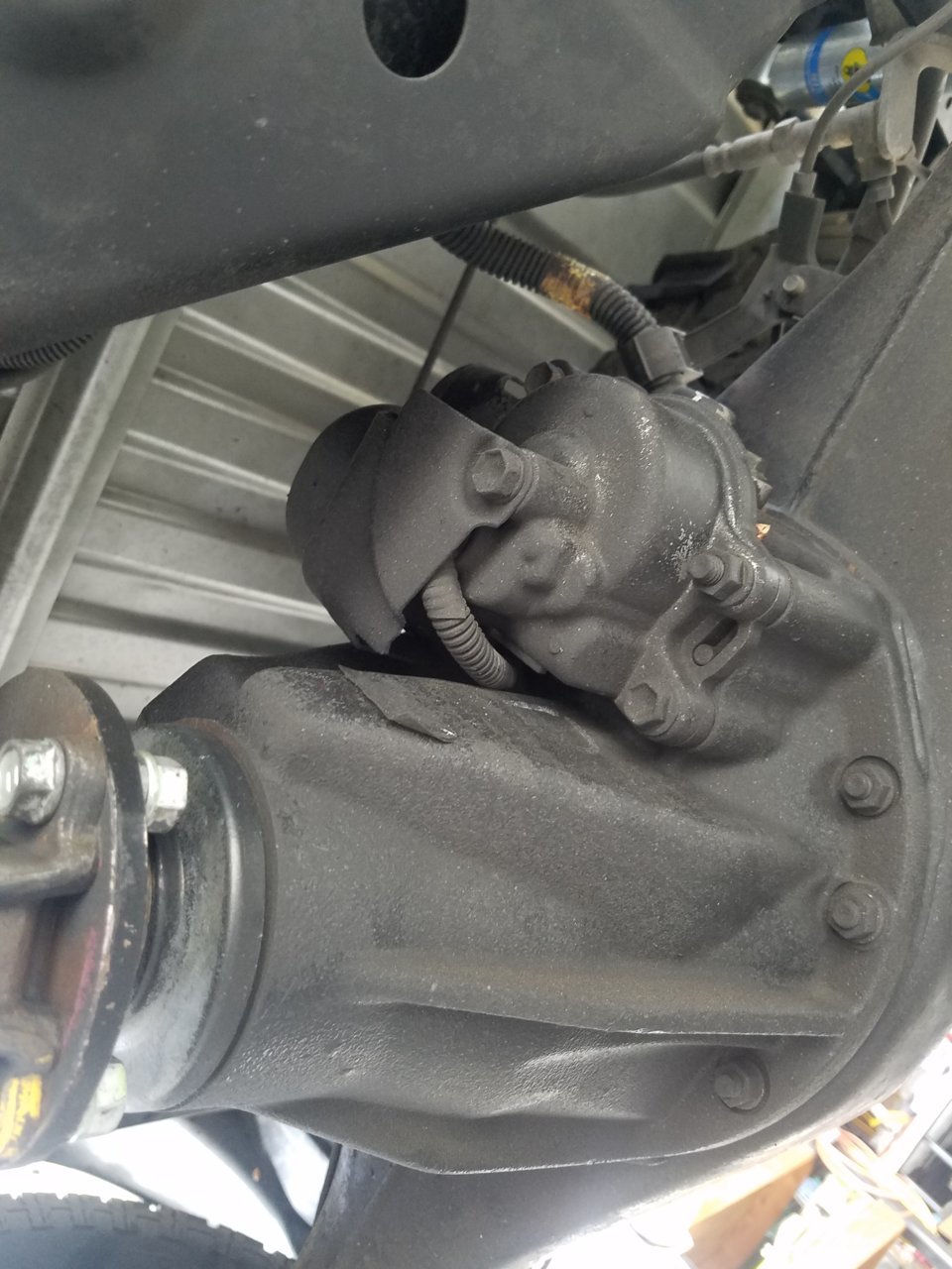 20190307_115039.jpg