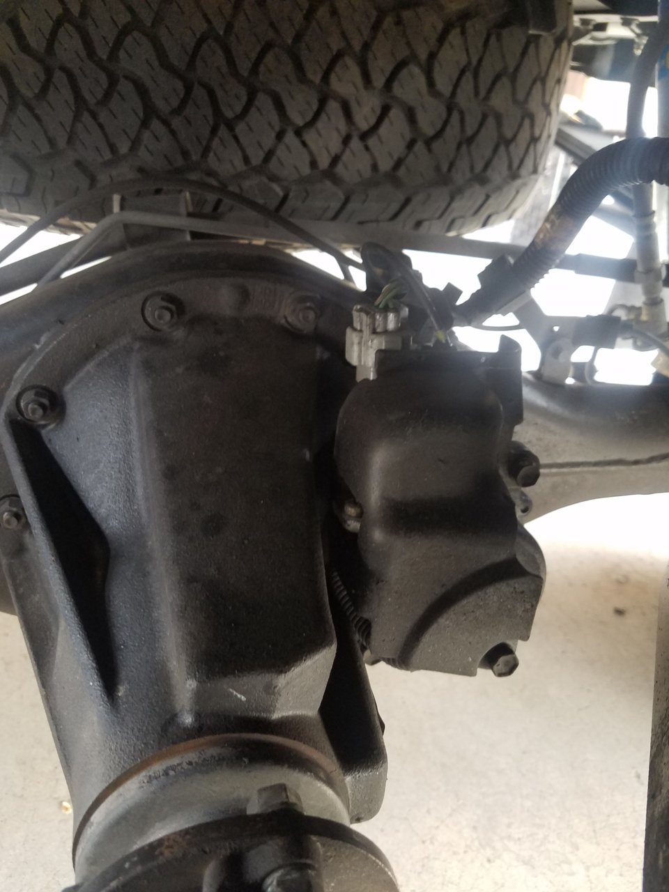 20190307_115047.jpg
