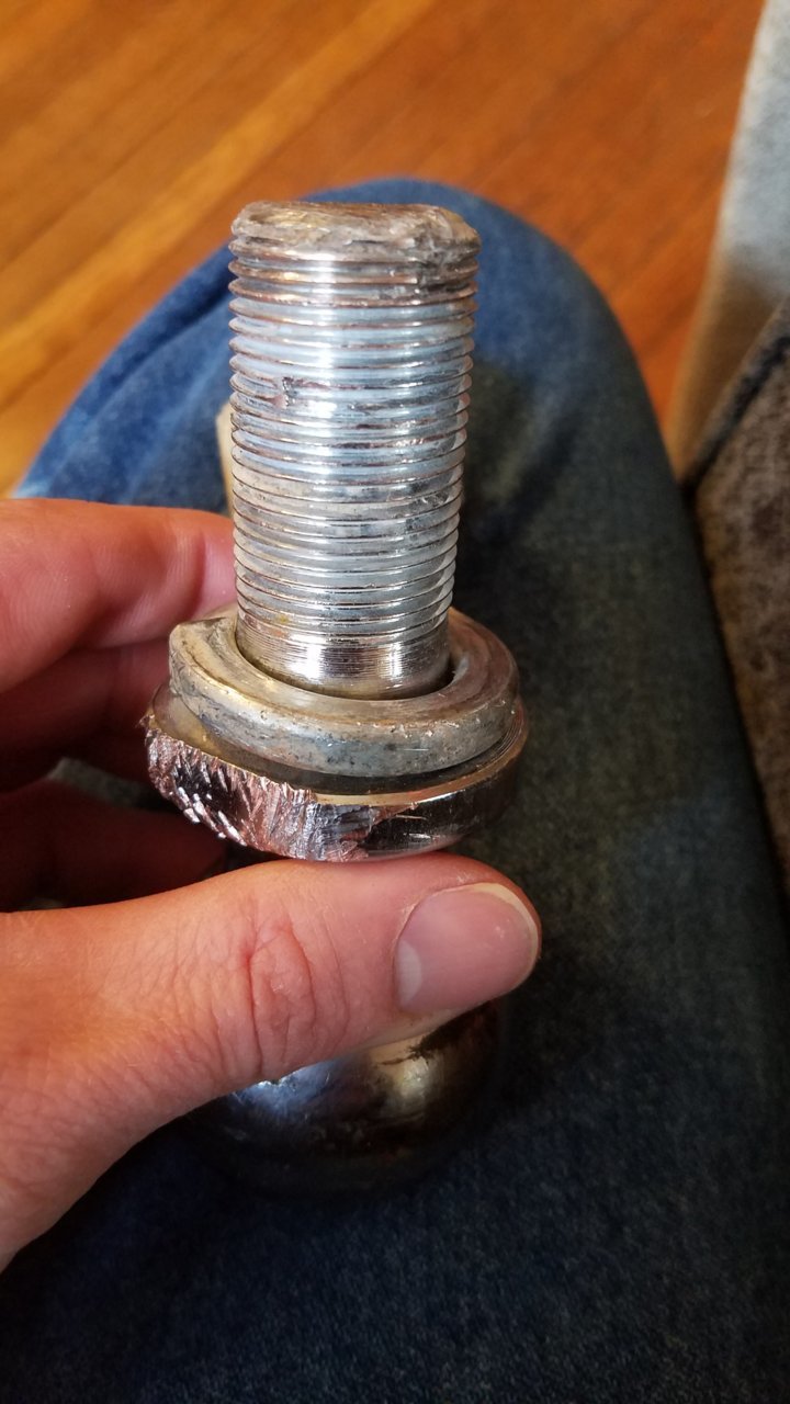 20190307_134232.jpg