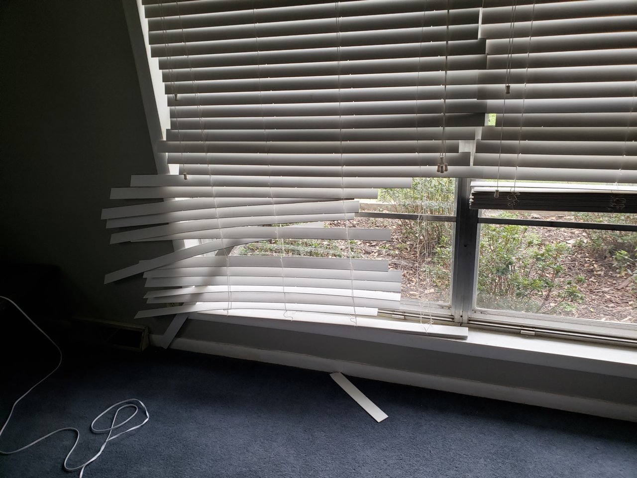 20190307_154904.jpg