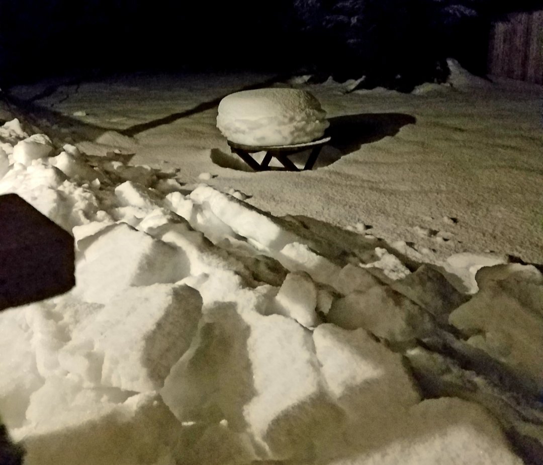 20190307_191541.jpg