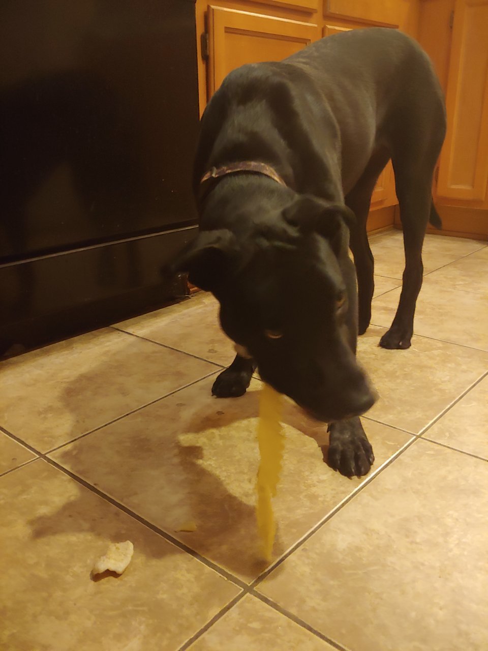 20190307_201732.jpg