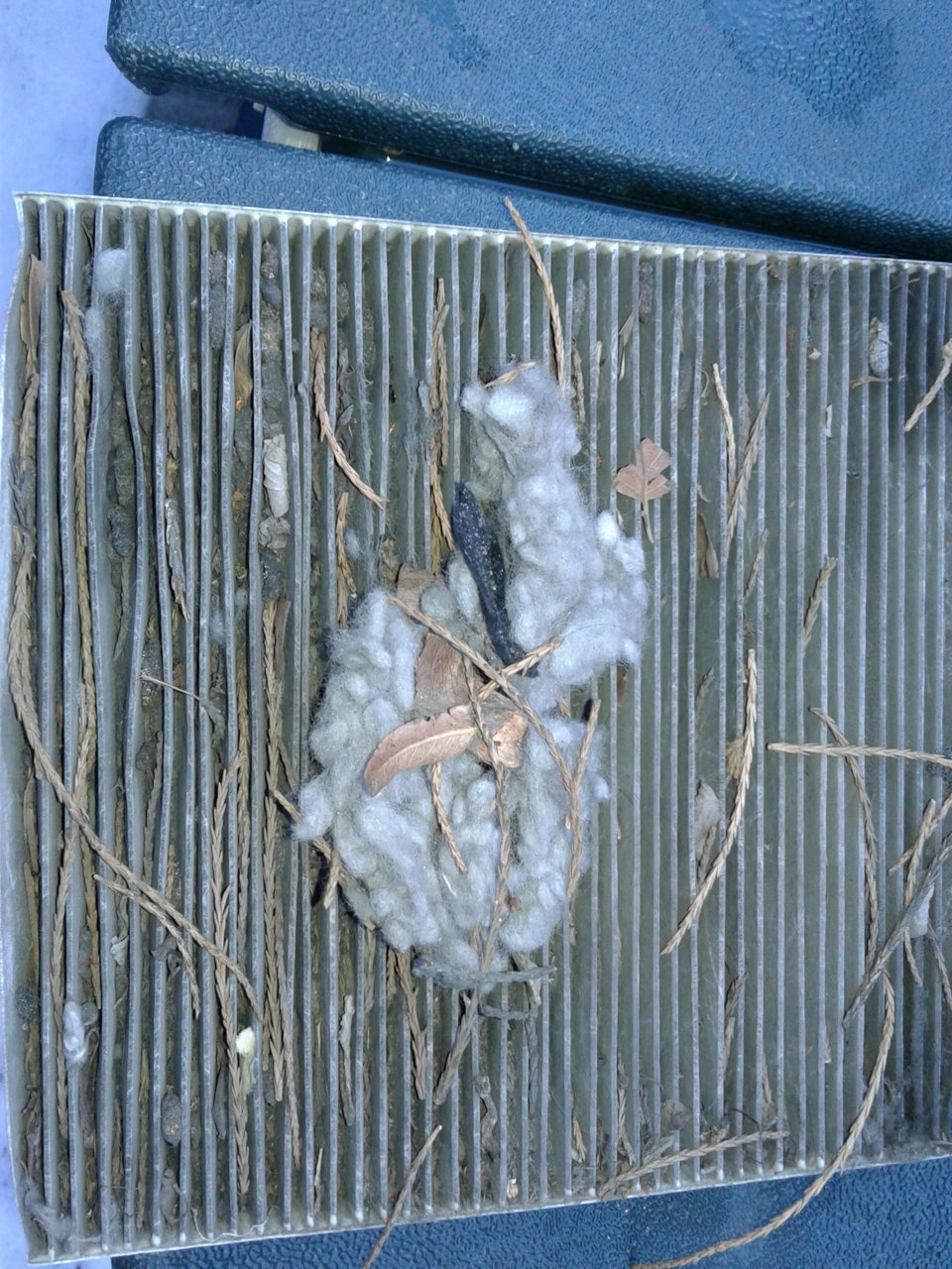 20190308_131436.jpg
