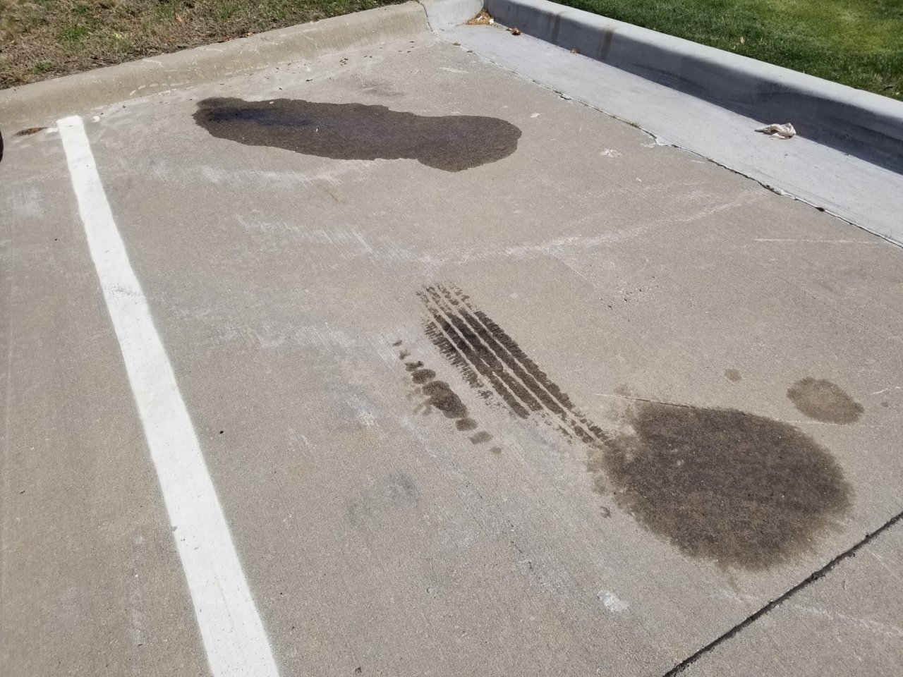 20190308_131623.jpg