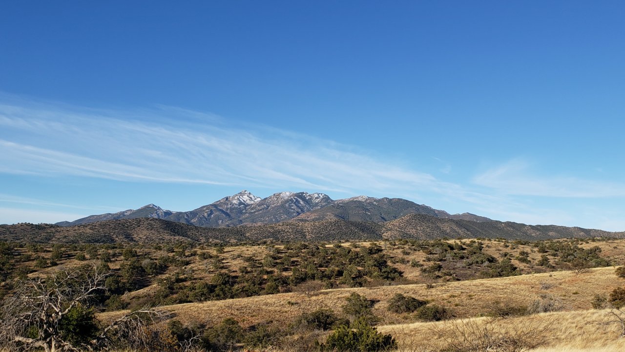 20190309_073258.jpg