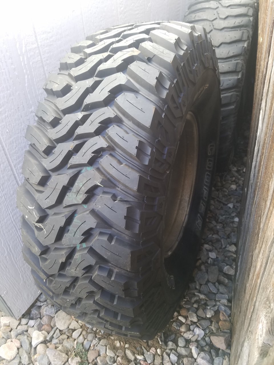 20190309_095004.jpg