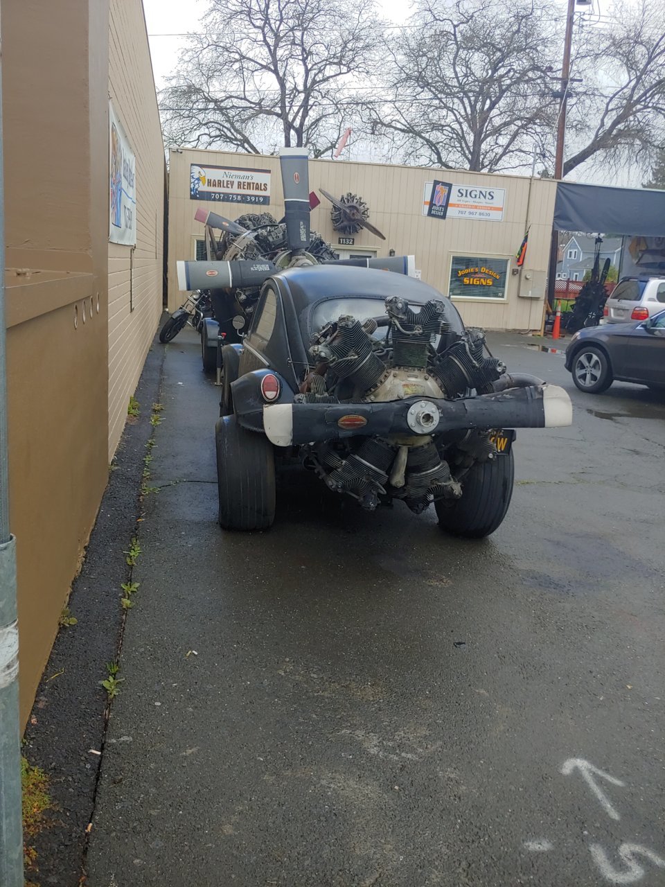 20190309_124259_HDR.jpg