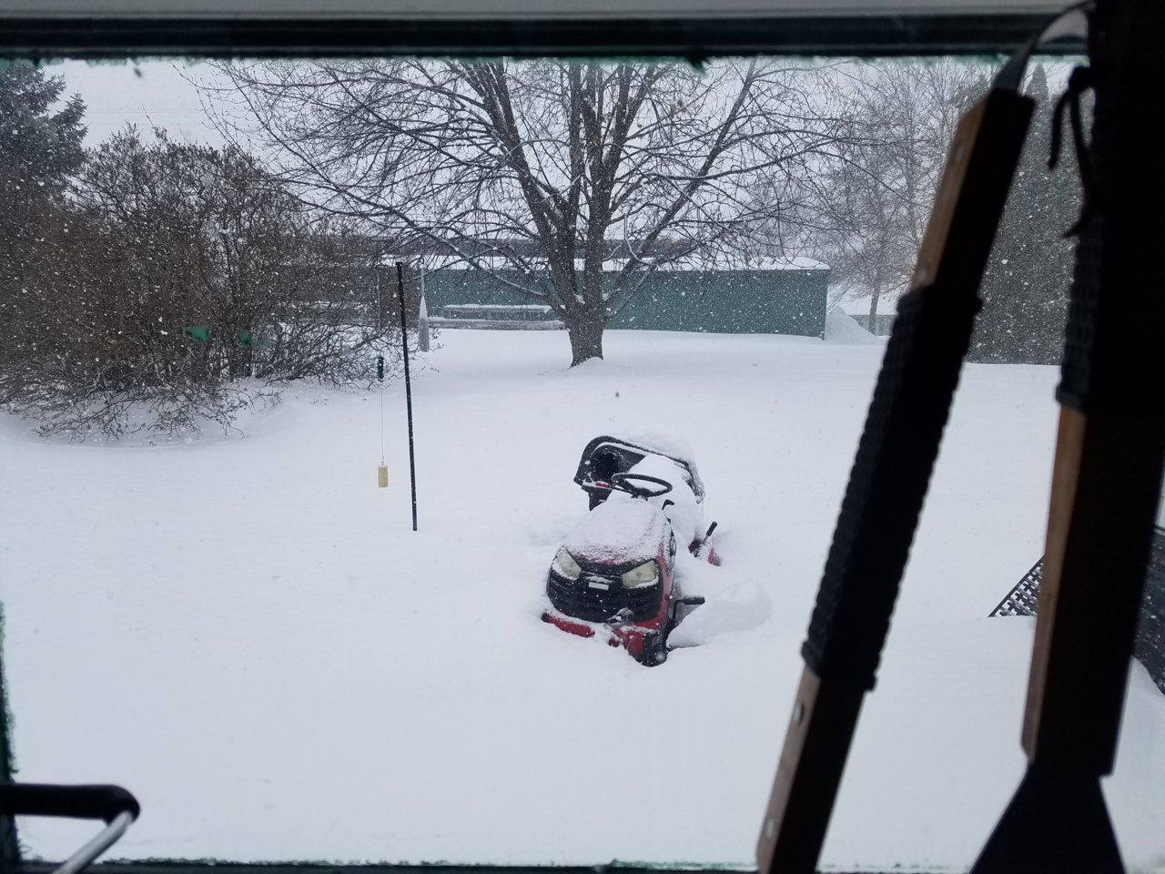 20190309_130621.jpg