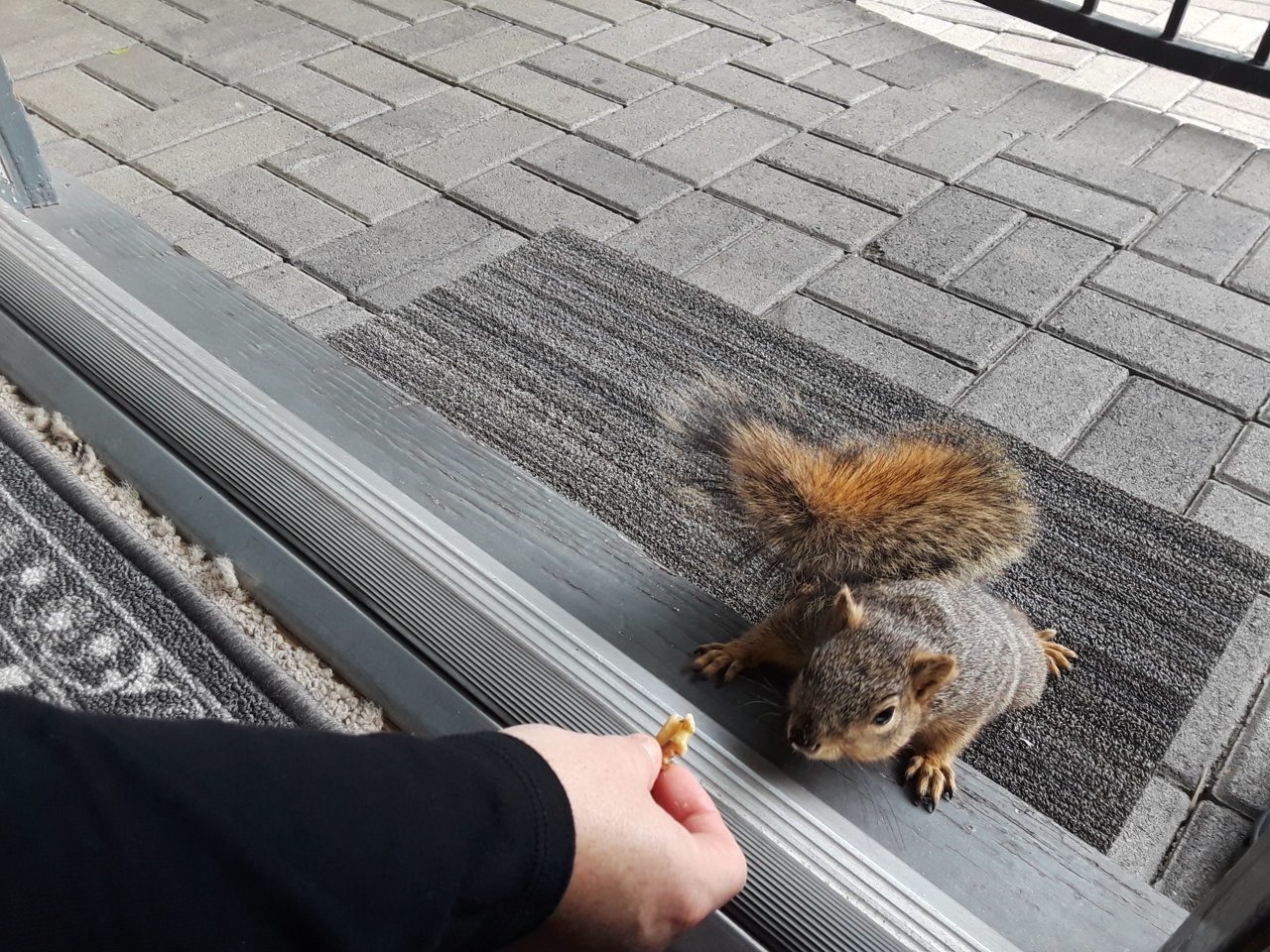 20190309_152711.jpg