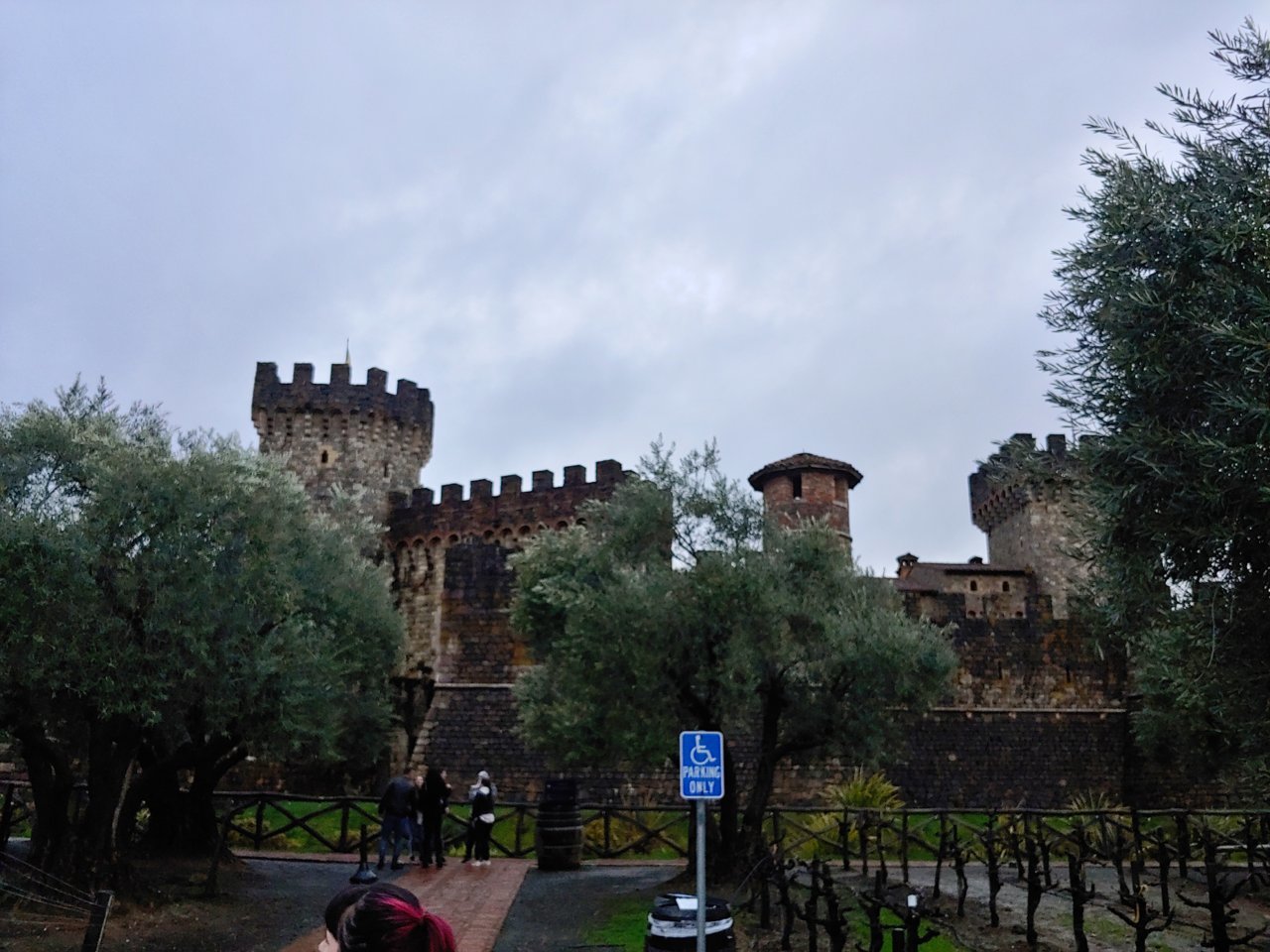 20190309_170154_HDR.jpg
