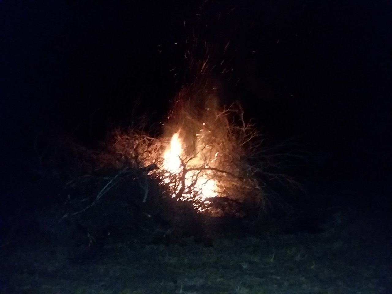 20190309_204309.jpg