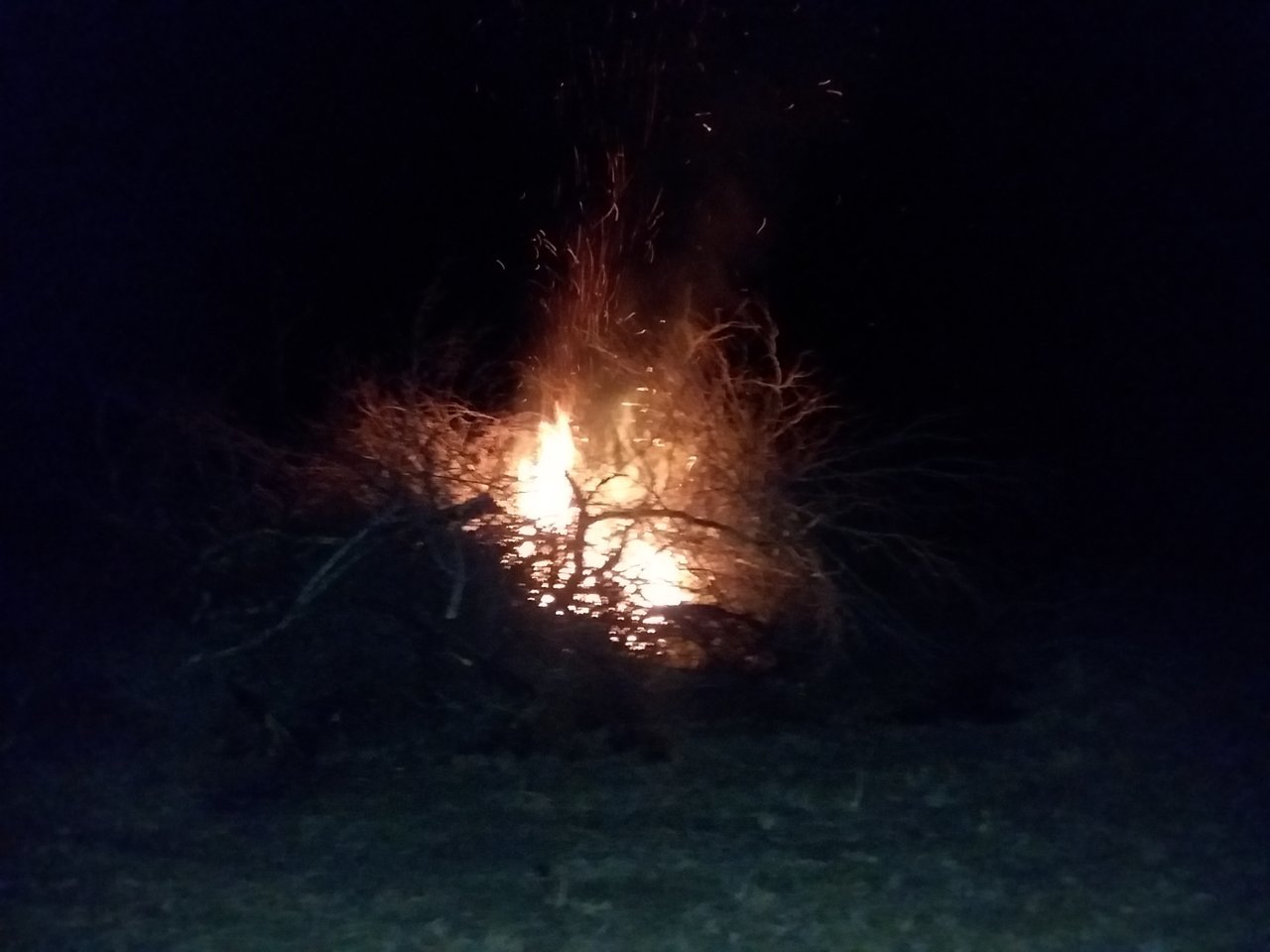 20190309_204326.jpg