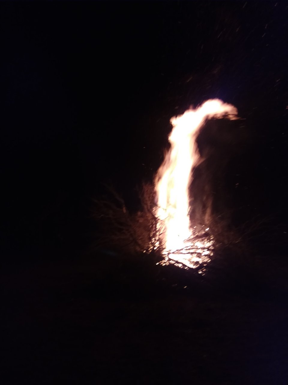 20190309_210919.jpg