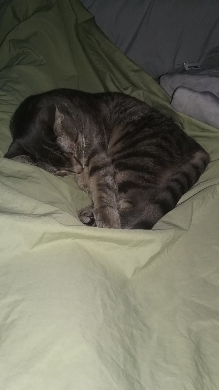 20190310_082236.jpg