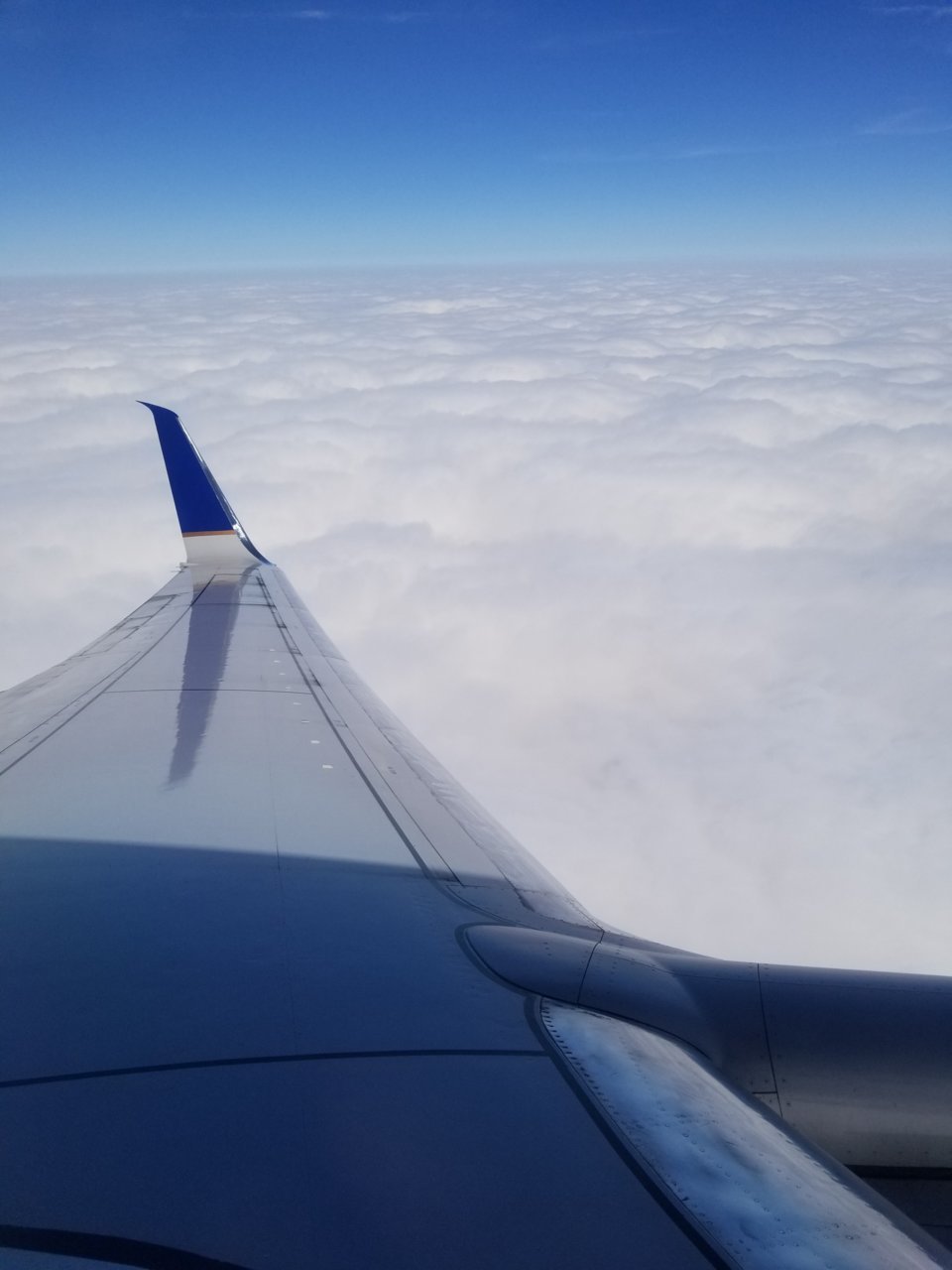20190310_101108.jpg