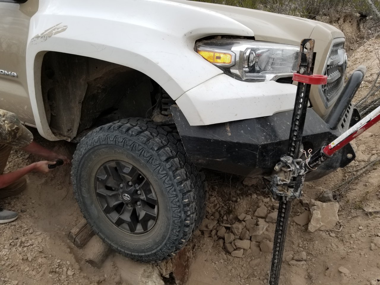 20190310_101423.jpg