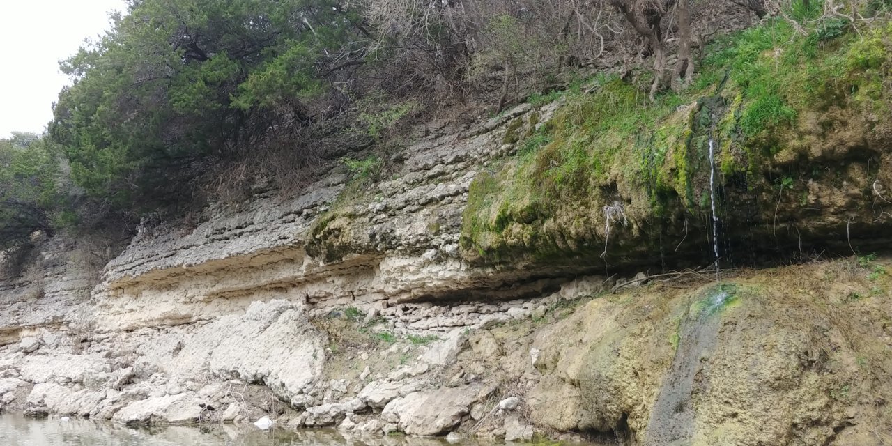 20190310_102933.jpg