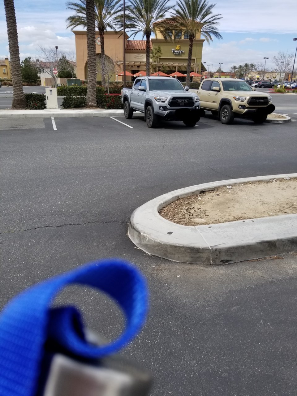 20190310_132428.jpg