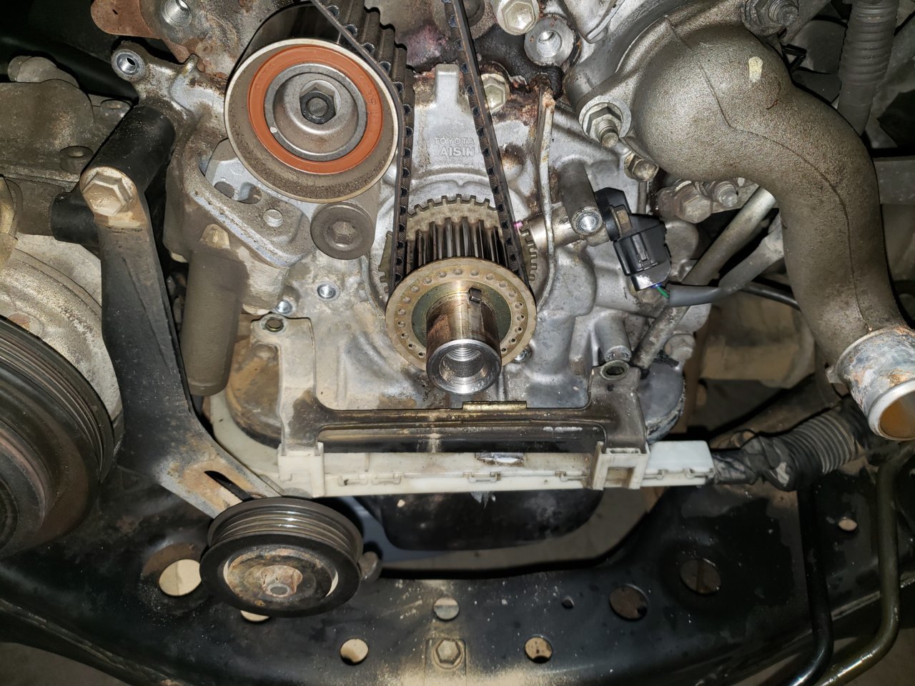 20190310_134558.jpg
