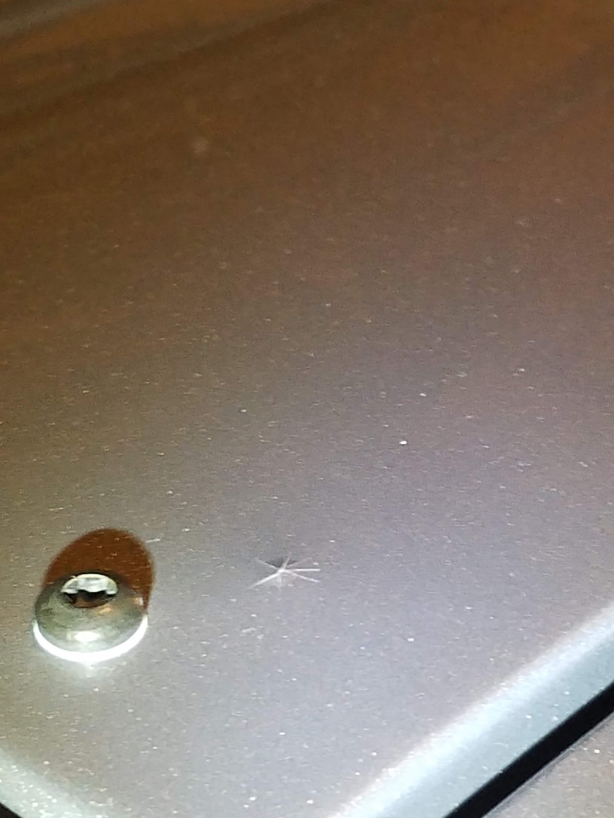 20190310_151923.jpg