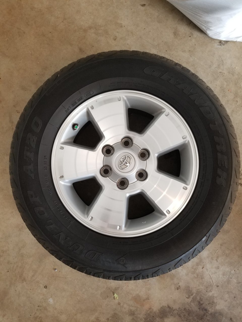 20190310_165625.jpg