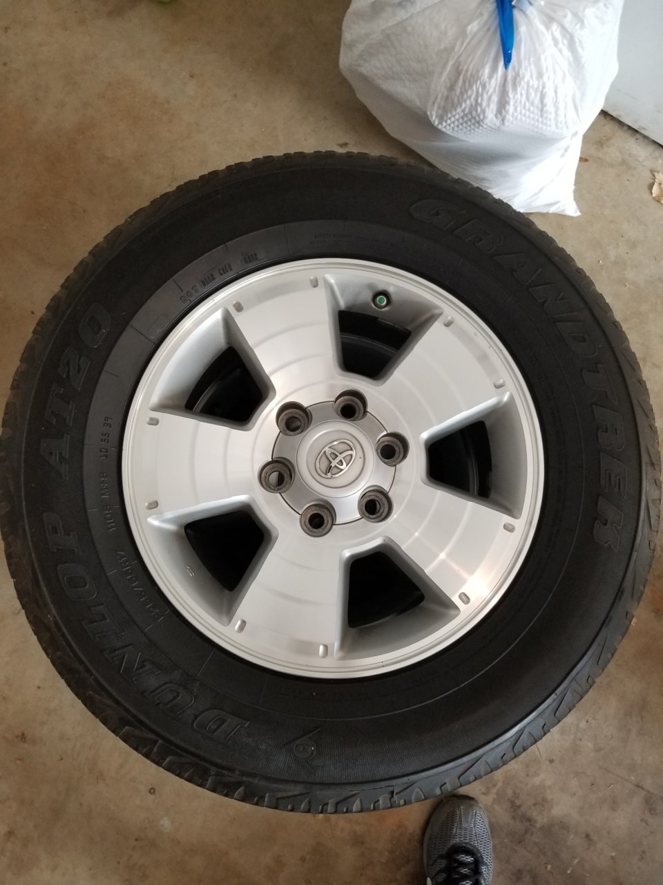 20190310_165737.jpg