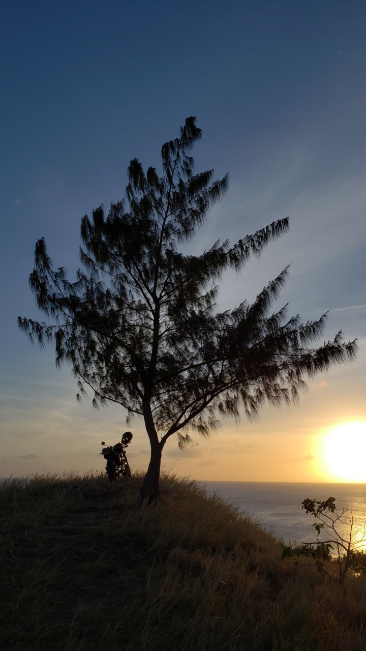 20190310_181730.jpg