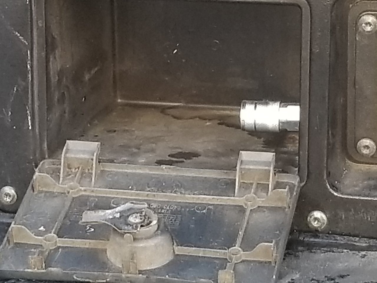 20190310_185955.jpg
